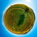 Autumn planet. Sunlit valleys, mountains and a variety of autumn colors. Alsace, France Royalty Free Stock Photo