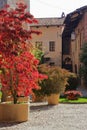 AUTUMN PLANTS IN THE MEDIEVAL VILLAGE OF RICETTO OF CANDELO IN ITALY Royalty Free Stock Photo