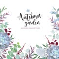 Autumn plants vector design frame arranged from eucalyptus, agonis, succulent