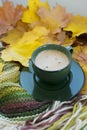 Autumn pleasures Royalty Free Stock Photo