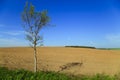 Autumn ploughed field with blue sky Royalty Free Stock Photo