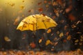 Autumn poetry leaves gracefully descending onto an upturned umbrella