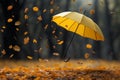 Autumn poetry leaves gracefully descending onto an upturned umbrella