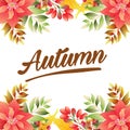 Autumn poinsettia border vivid color