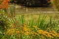 Autumn pond