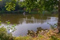 Autumn pond on the berg, which float multi-colored fallen leaves. The water is still warm, but it`s already getting cold Royalty Free Stock Photo