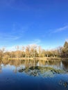 Autumn Pond with Ducks Royalty Free Stock Photo