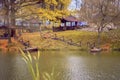 Autumn pond. Fallen leaves. Empty park , sunny day, natural background. Autumn nostalgic mood