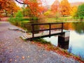 Autumn pond and floodgate