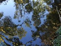 In the autumn at the pond in Geismar