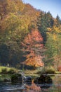 Autumn pond landscape at the arboretum of the Aubonne valley, Switzerland Royalty Free Stock Photo