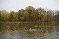 Autumn pond landscape