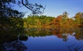 Autumn Pond Landscape of Colorful Foliage Reflected on a Glass-like Mirror Water Surface on Cape Cod Royalty Free Stock Photo