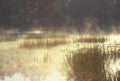 Autumn Pond in Mist