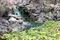 Autumn pond. Plants and man-made waterfall in the pond Royalty Free Stock Photo