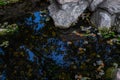 Autumn pond among textured white stones. Yellow orange red apples and fallen green leaves in water. Blue sky and trees reflected Royalty Free Stock Photo