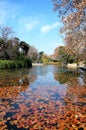 Autumn pool