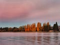 Autumn poplar trees at the edge of the lake Wanaka at sunset