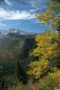 Autumn poplars, mountain valleys & ridges Royalty Free Stock Photo