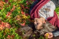 Autumn portait, lovely girl