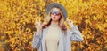 Autumn portrait of attractive woman blowing red lips sending sweet air kiss wearing gray coat, round hat on yellow leaves Royalty Free Stock Photo