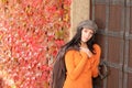 Autumn portrait of beautiful young female model Royalty Free Stock Photo