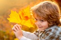 Autumn portrait of cute little boy close up. Kids boy playing with leaves in autumn park. Royalty Free Stock Photo