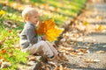 Autumn portrait of cute little caucasian child boy. Kids in warm knitted sweater. Fall leaves children concept, autumnal