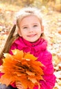 Autumn portrait of cute smiling little girl with maple leaves Royalty Free Stock Photo