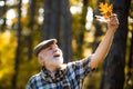 Autumn portrait of grandfather. Portrait of handsome old man. Active senior man having fun and playing with the leaves