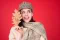 Autumn portrait happy smiling woman holding fall maple leaves near face over studio isolated background. Autumn fall Royalty Free Stock Photo