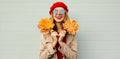 Autumn portrait of smiling young woman with yellow maple leaves wearing red french beret over gray Royalty Free Stock Photo
