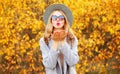 Autumn portrait stylish woman blowing red lips sending sweet air kiss wearing gray coat, round hat on yellow leaves Royalty Free Stock Photo