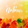 Autumn Postcard With Bright Leaves