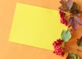 Autumn postcard with Rowan branches on a yellow background, place for text, top view