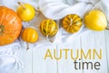 Autumn postcard Autumn time. November greeting card. Pumpkins on a light wooden background. Autumn composition