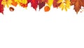 Autumn Poster With Borders And Leaves