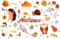 Autumn poster with a dancing hedgehog, funny snail, cute owl and Autumn elements, leaves,berry, flowers and other
