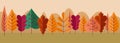 Autumn poster. Forest landscape. Oak and maple foliage. Orange birch. Fall season flora. Simple flat plants. Autumnal