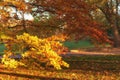 Autumn in Prague, favorite tourist destination Letna park Letenske sady, Czech Republic