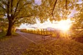 Autumn in Prague, golden sunset at Vyshegrad. Beautiful park in the historic district, Czech Republic, Europe