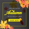 Autumn sale banner with leaves