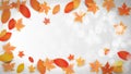 Autumn background with leaves and empty space for your text Royalty Free Stock Photo