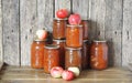 Apple sauce preserves Royalty Free Stock Photo