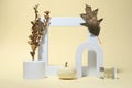 Autumn presentation for product. Geometric figures, golden branch with leaves and pumpkin on beige background