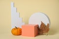 Autumn presentation for product. Geometric figures, pumpkin and dry leaf on beige background