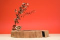 Autumn presentation for product. Wooden stump, acorn, golden walnut and branch with leaves on color background, space for text