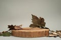 Autumn presentation for product. Wooden stump and dry leaves on light grey background