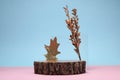 Autumn presentation for product. Wooden stump, geometric figure and golden leaves on color background