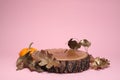 Autumn presentation for product. Wooden stump, pumpkin and golden leaves on pink background